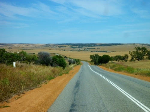 20121012-170005.jpg