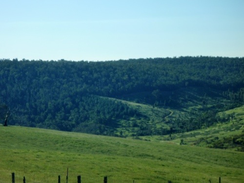 20121028-182640.jpg