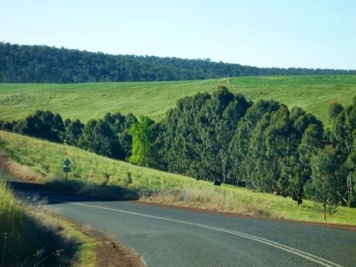 20121028-182654.jpg