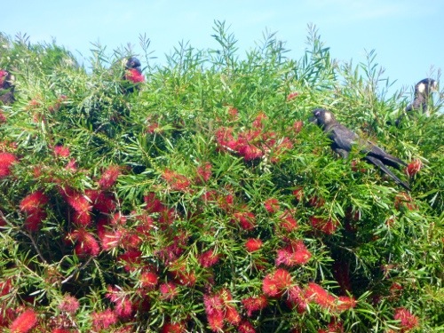 20121102-205500.jpg