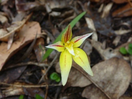 20121102-214737.jpg