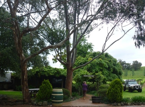 20121102-215340.jpg