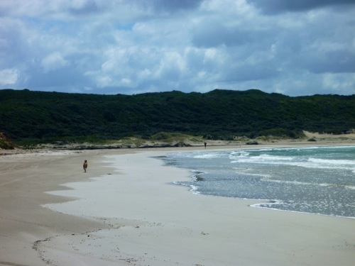 20121108-170640.jpg