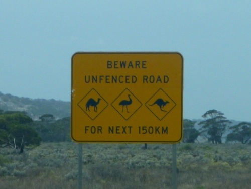 20121128-222733.jpg