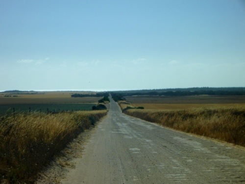 20121210-200943.jpg