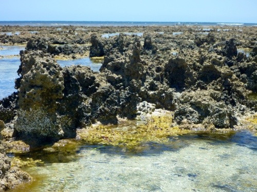 20121210-201551.jpg