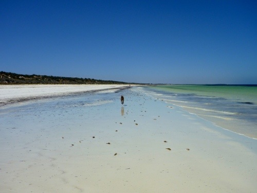 20121216-162335.jpg