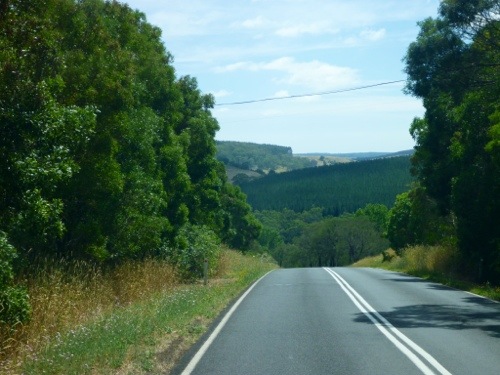 20121229-183524.jpg
