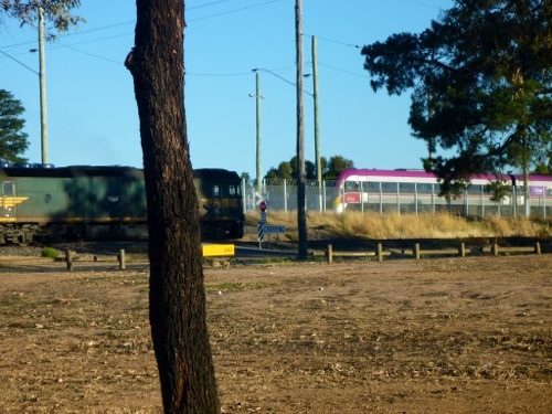 20121230-220521.jpg