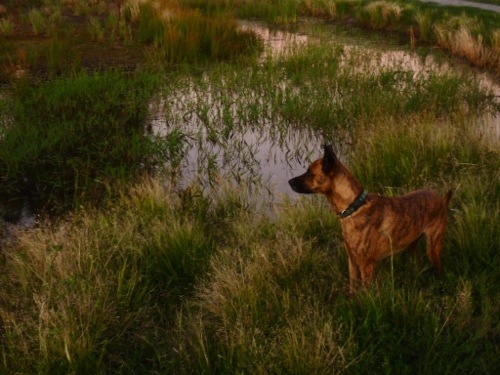 20121230-221335.jpg