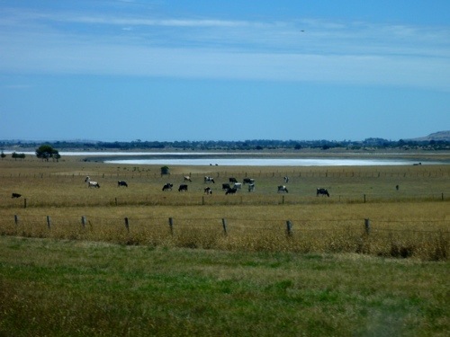20130104-234619.jpg