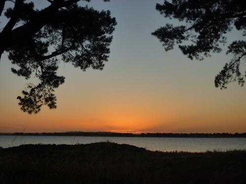 20130104-234826.jpg