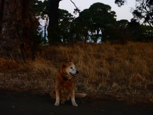20130104-234857.jpg