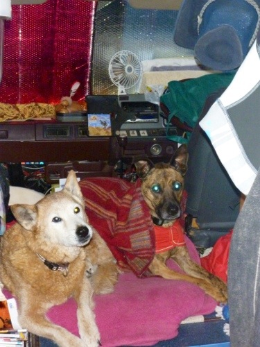 20130119-152357.jpg