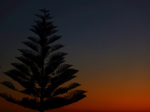 20130119-162904.jpg