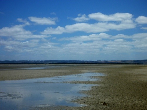 20130126-135620.jpg