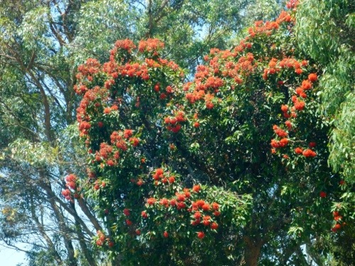 20130126-171833.jpg
