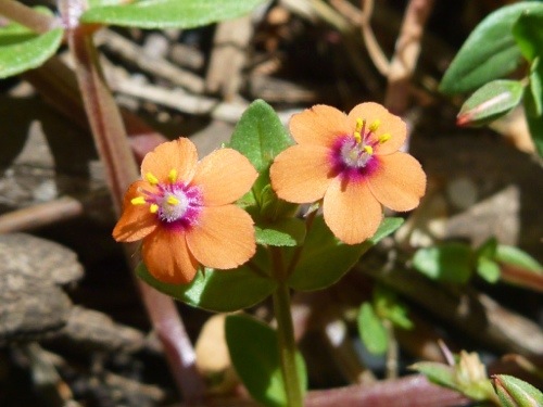 20130204-232153.jpg