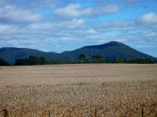 20130205-144743.jpg