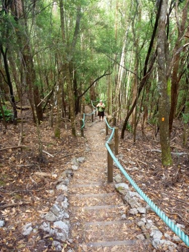 20130205-153025.jpg