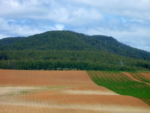 20130205-153751.jpg