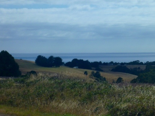 20130205-172628.jpg