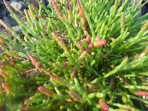 20130212-194051.jpg