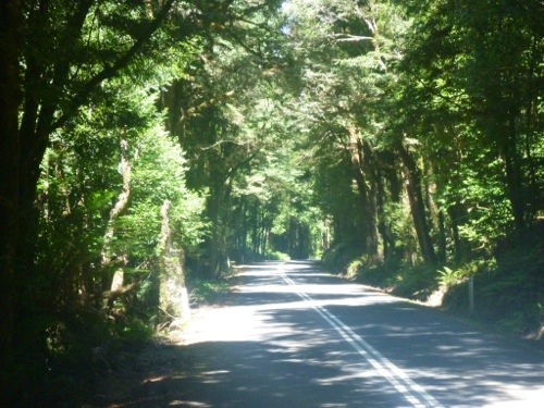 20130212-195306.jpg