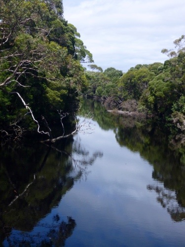 20130212-210246.jpg