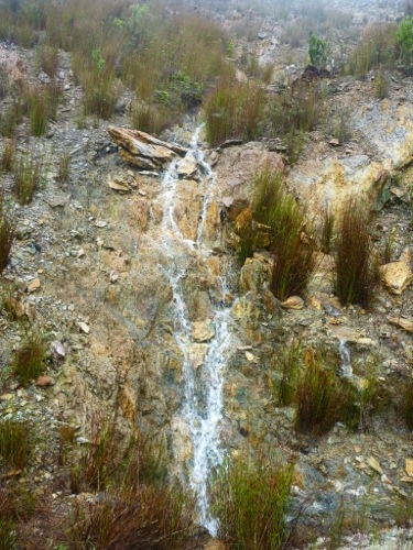 20130212-214535.jpg