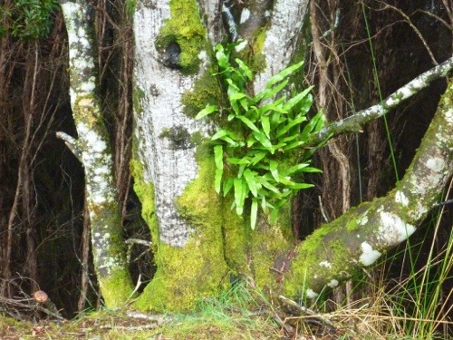 20130212-215035.jpg
