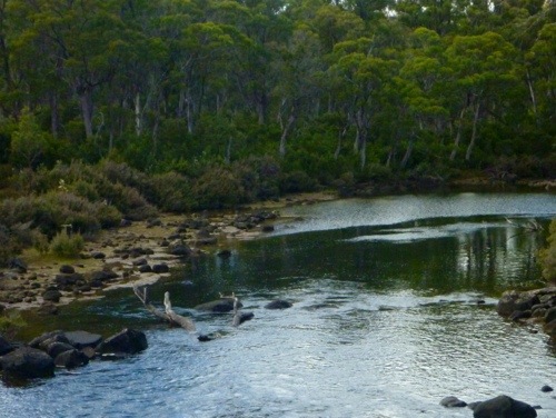 20130213-130225.jpg