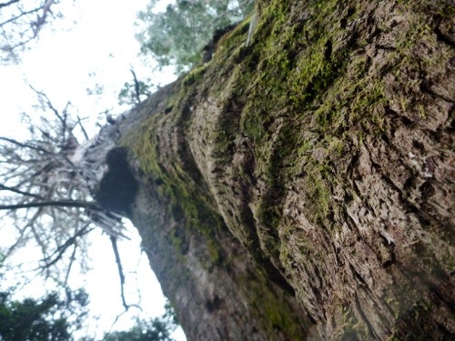 20130213-174448.jpg