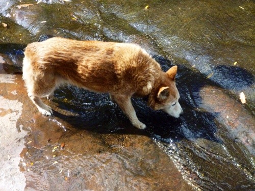 20130213-175321.jpg
