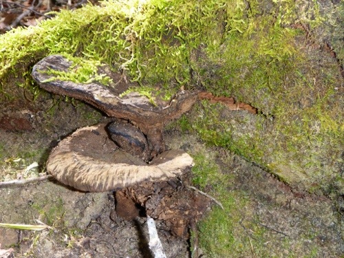 20130215-100313.jpg