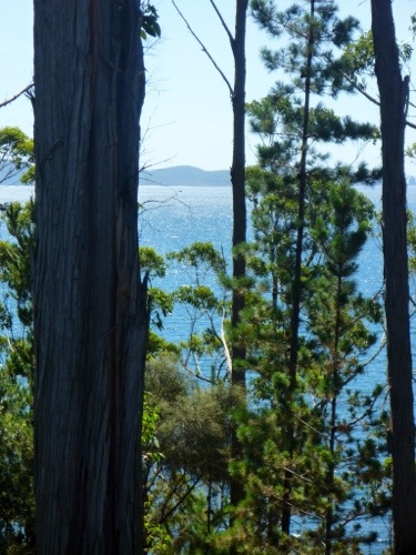 20130220-162406.jpg