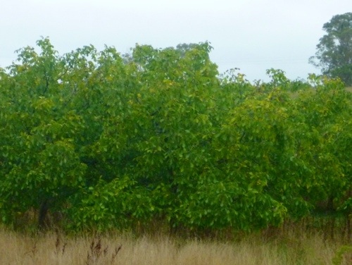 20130225-182832.jpg