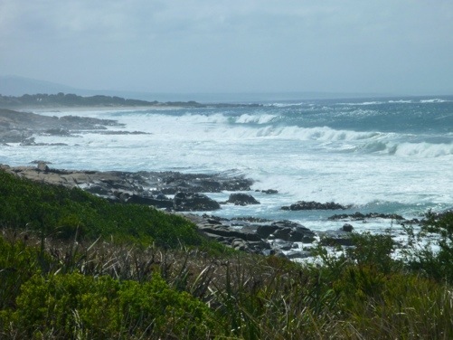 20130225-183534.jpg