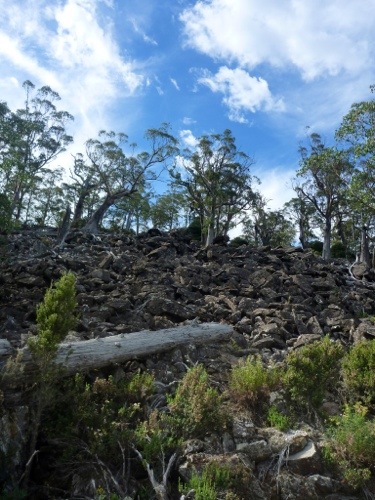20130312-180923.jpg